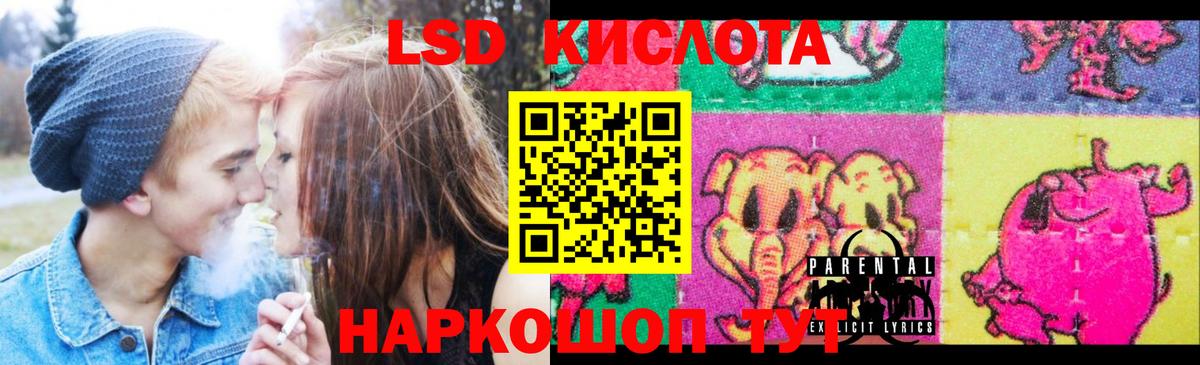 Лесной  Лсд 25 экстази  Вход с VPN  Лсд 25 экстази кислота 