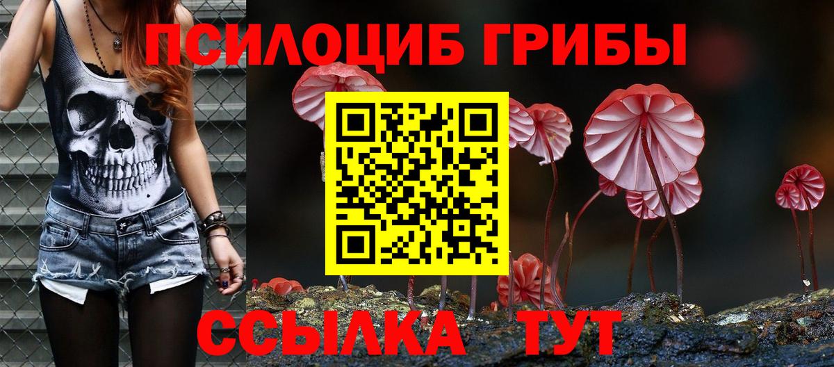 Галлюциногенные грибы мухоморы  Вход с VPN  Псилоцибиновые грибы Psilocybe  Лесной 